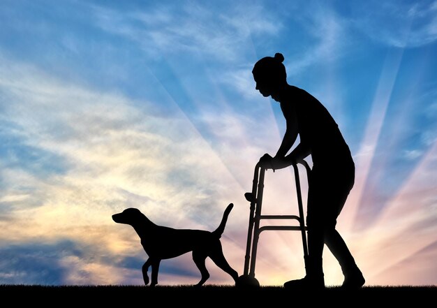 Silhouet van een gehandicapte vrouw die met een hond loopt, gebruikt een rollator. Het concept van ouderen en gehandicapten