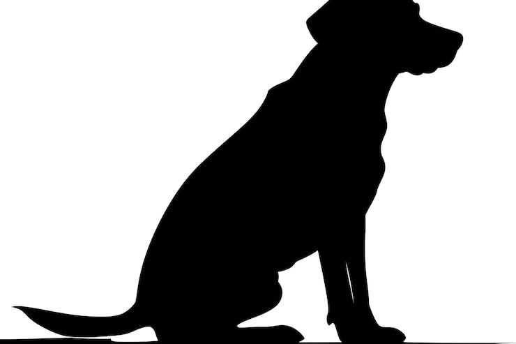 Foto silhouet van een hond die op een skateboard zit met een witte achtergrond
