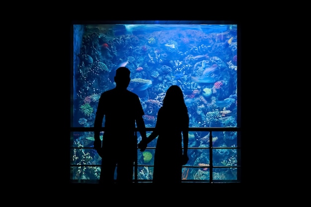 Silhouet van een stel dat vanuit een donkere zaal naar de onderwaterwereld in een groot aquarium kijkt