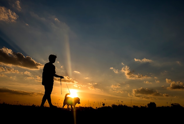 Silhouet van mens en hond die op zonsondergangachtergrond lopen.