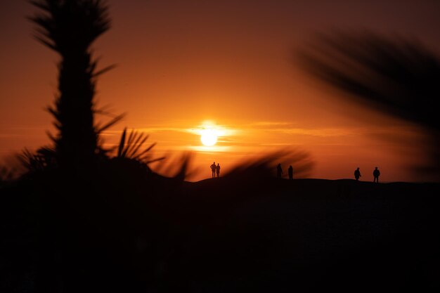 Foto silhouet van mensen op een tropisch strand die genieten van de zonsondergang