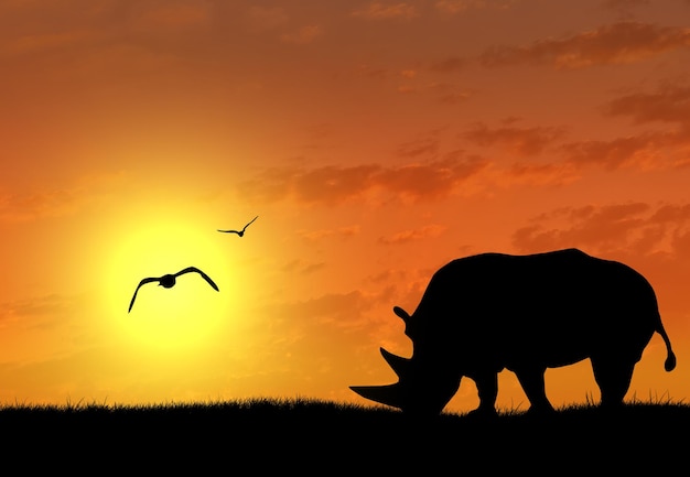 Silhouet van neushoorn bij zonsondergang. het concept van dieren in het wild