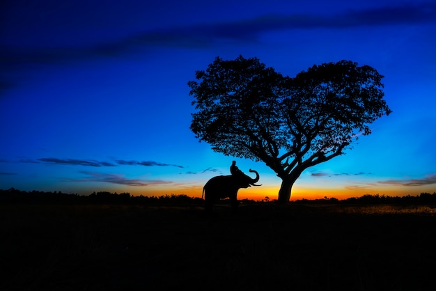 silhouet van olifant onder de boom