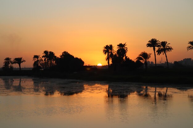 Silhouet van palmbomen bij het zwembad tegen de hemel bij zonsondergang