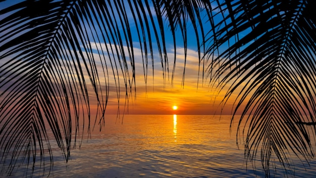 Silhouet van palmbomen Prachtige zonsondergang op het strand van de tropische zee