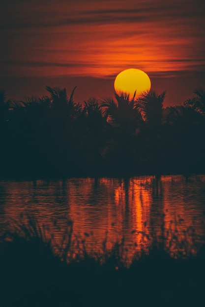 Silhouet van palmboom bij zonsondergang oranje hemel Gouden zon zonsondergang abstract seizoen weer
