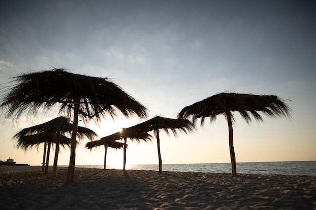 Silhouet van stro-paraplu's in Egypte aan de kust tijdens de dageraad