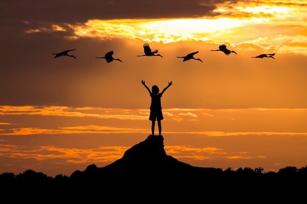 Silhouet van vrijheid meisje op berg