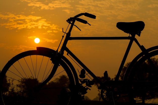 Silhouet van zonsondergang