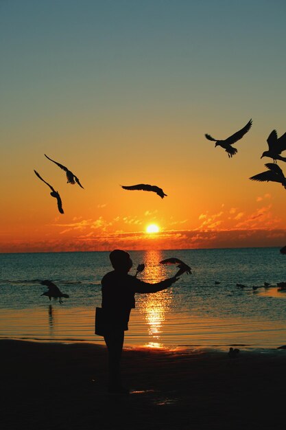 Foto silhouet vogels die tijdens de zonsondergang over de zee vliegen tegen een heldere lucht