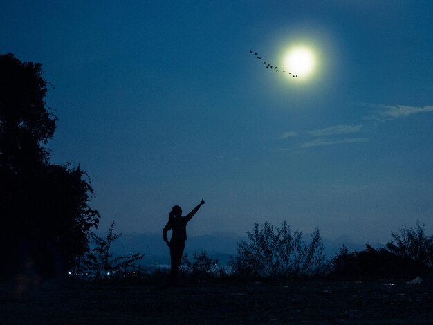 Foto silhouet vrouw die's nachts naar vogels wijst