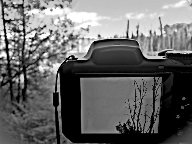 Foto silhouetbomen op het scherm van een digitale camera