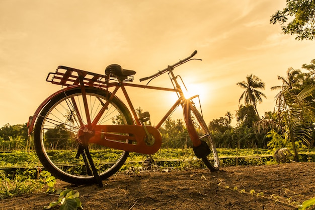 Silhouetfiets met zonsondergang