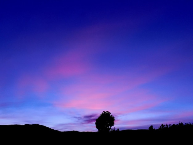 Silhouetlandschap bij zonsondergang