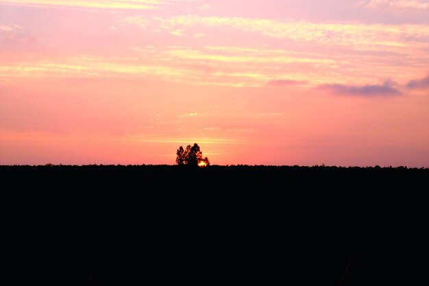 Foto silhouette di un campo agricolo contro il cielo durante il tramonto