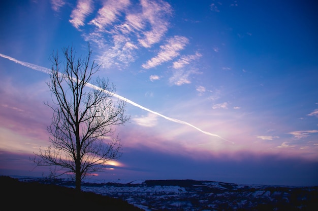 Photo silhouette bare tree against sky at sunset