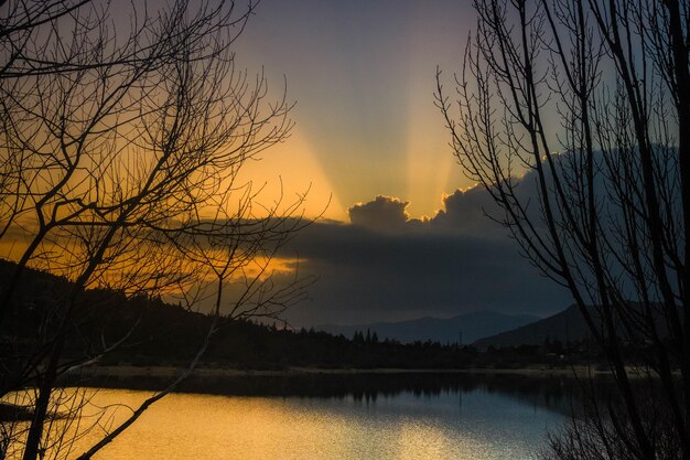 Silhouette bare tree by lake against sky during sunset