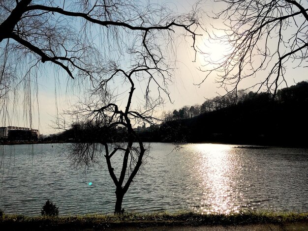 Silhouette bare tree by lake against sky