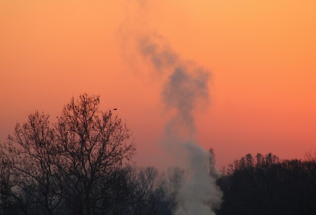 Photo silhouette bare trees against orange sky