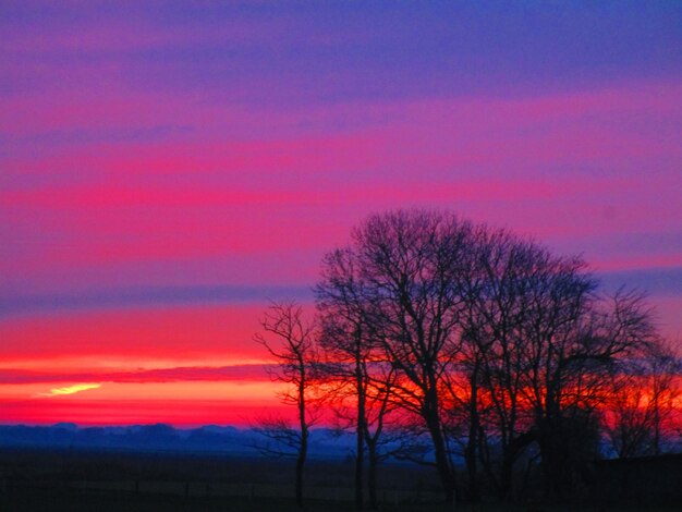 Silhouette bare trees on landscape against romantic sky at sunset