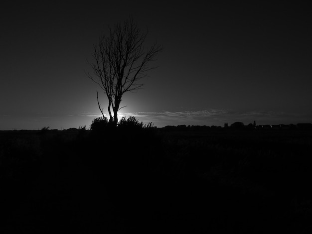 Photo silhouette of bare trees on landscape against sky