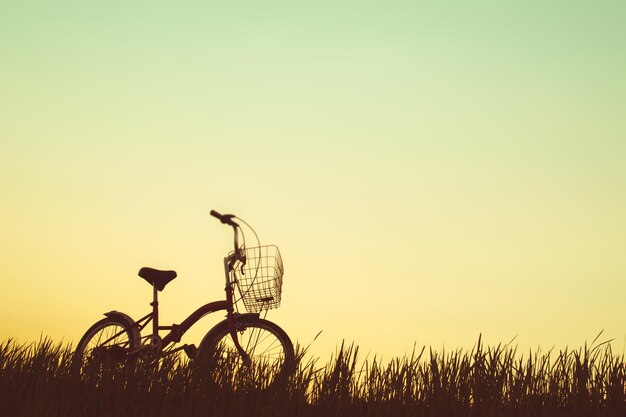 夕暮れの自転車のシルエット