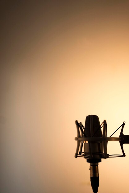 Photo silhouette bird against clear sky during sunset