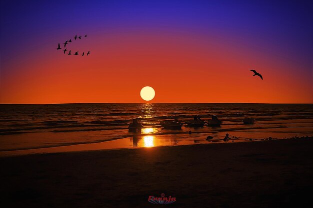 Silhouette bird flying over sea against sky during sunset