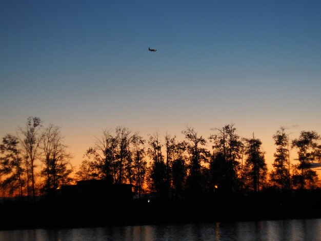 Silhouette birds flying over lake against sky during sunset