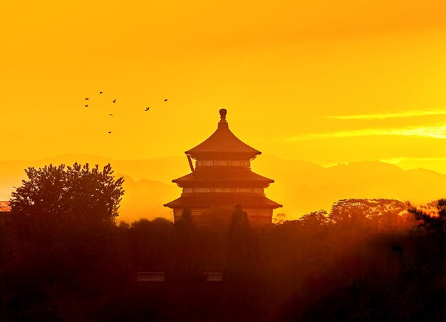 Silhouette birds flying over temple against sky during sunset