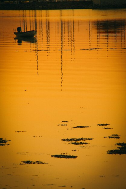 Silhouette birds on lake during sunset