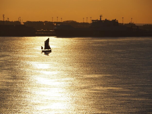 Silhouette birds on sea against sky during sunset