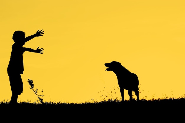 Silhouette boy playing against sky during sunset