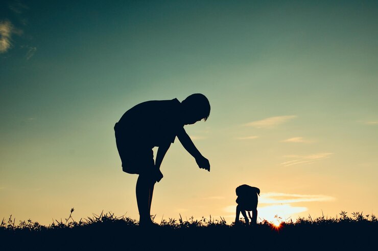 फोटो silhouette boy standing by dog on grassy field against sky during sunset