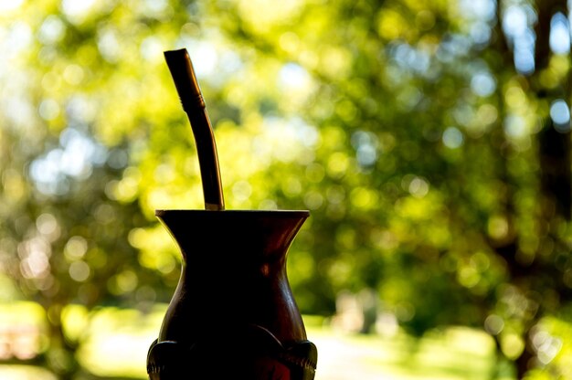 Silhouette of chimarrao yerba mate tea