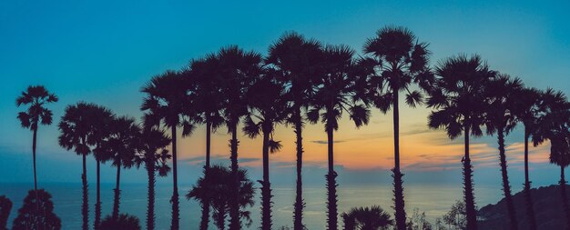 Silhouette coconut palm trees on beach at sunset. vintage tone