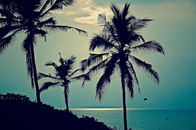 Photo silhouette coconut palm trees by sea against sky on sunny day