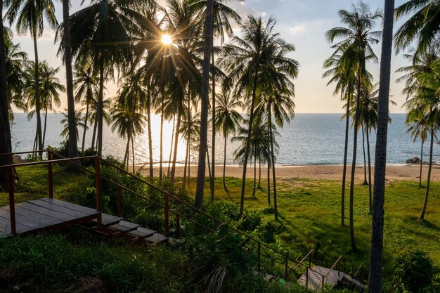 Silhouette coconut palm trees at sunset or sunrise sky over sea Amazing light nature colorful landscape Beautiful light nature sky and clouds