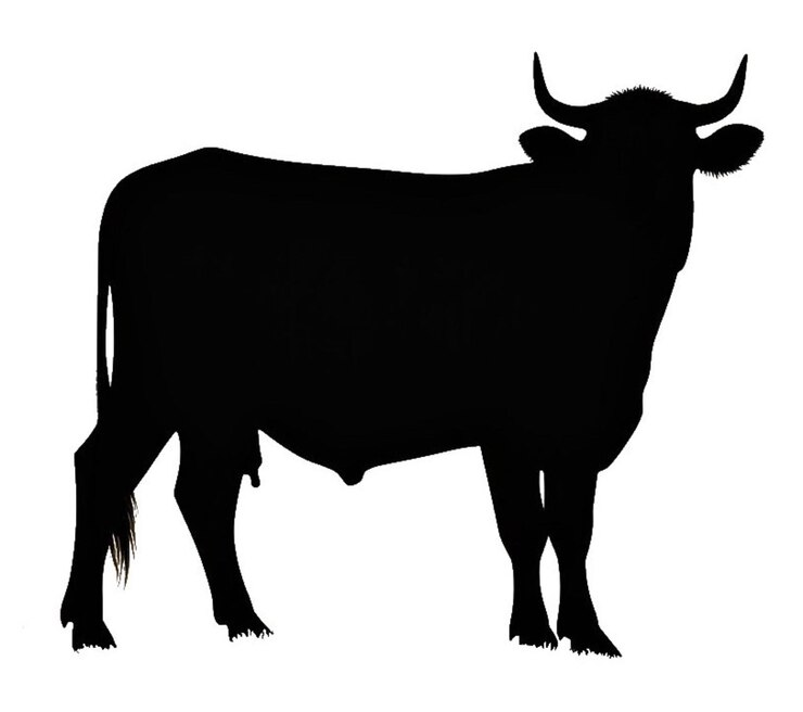 Silhouette Cow