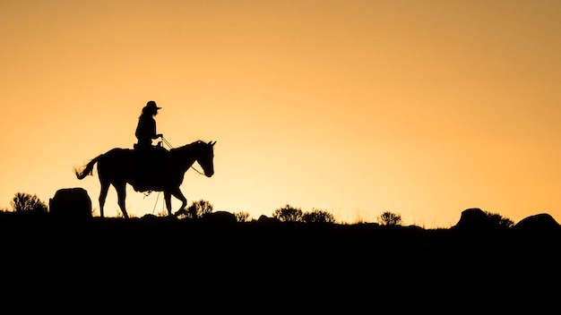 Photo silhouette cowboy riding horse on field against sky