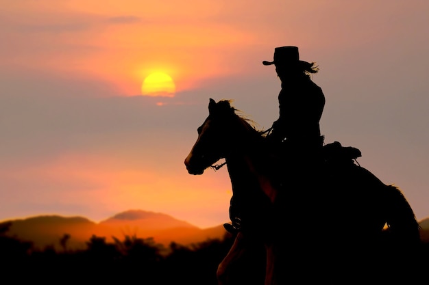 The silhouette of the cowboy on the setting sun