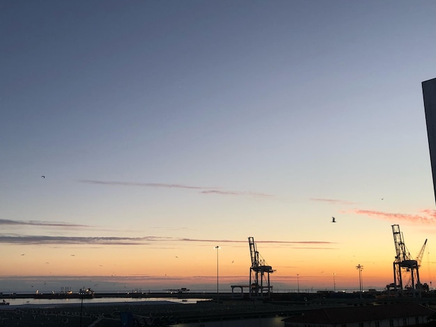 Photo silhouette cranes against sky during sunset