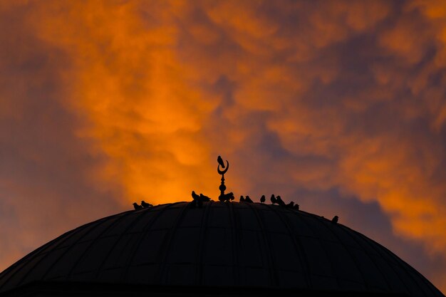 Foto silhouette di cupola e uccelli con rara forma di nuvola al tramonto