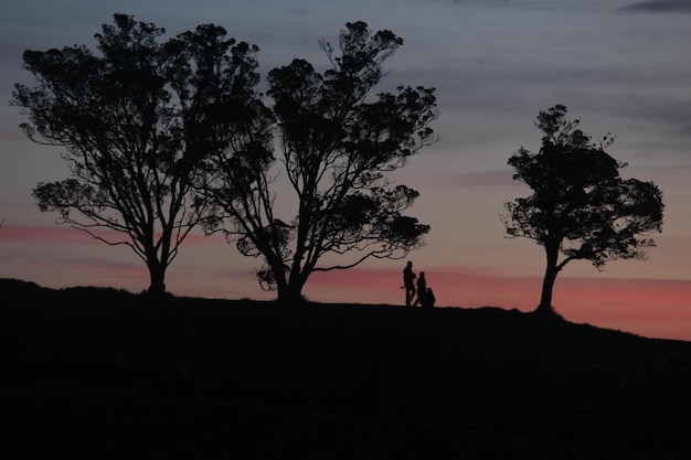 Foto silhouette di una famiglia vicino agli alberi sul campo durante il tramonto