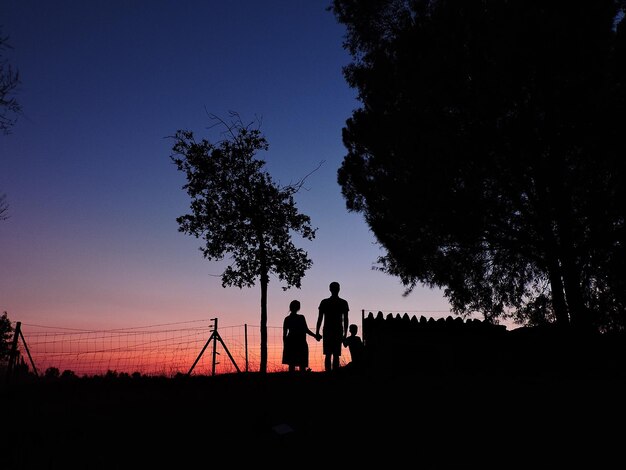 Silhouette family standing amidst trees at dusk