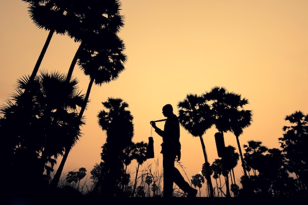 Silhouette farmer on the farm during sunset time