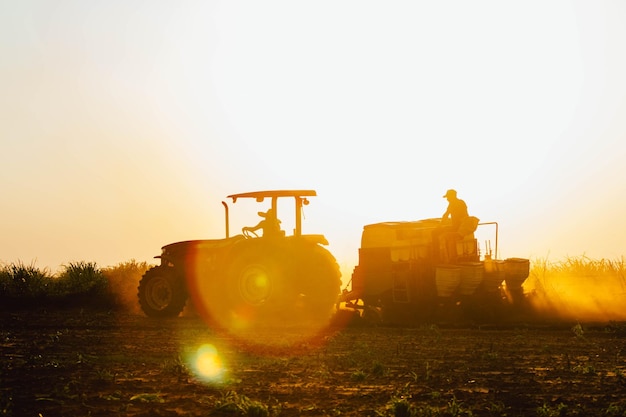 Silhouette farmers working at farm