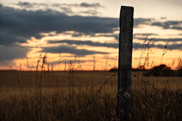 Foto silhouette di un palo da recinzione circondato da erba con un campo di grano sullo sfondo dopo il tramonto