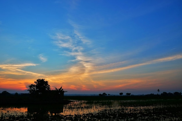 Silhouette field against sky during sunset