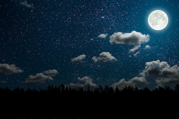silhouette of a flying goth santa claus against the background of the night sky. elements of this image furnished by nasa